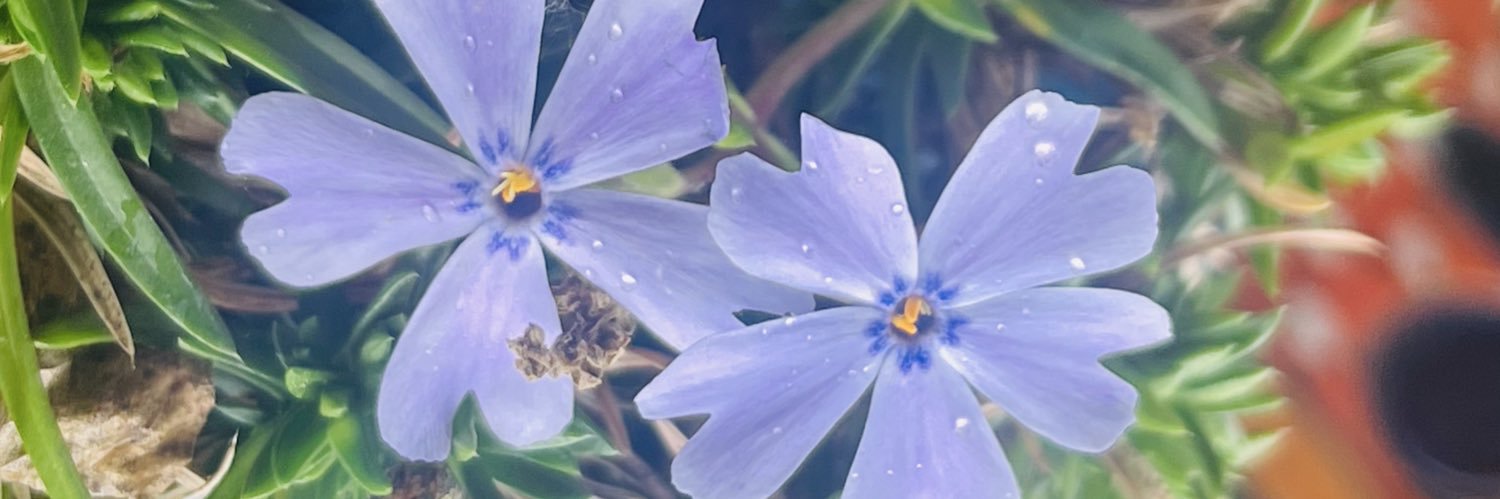 Charlotte’sPeace♥️🦋🪷 banner