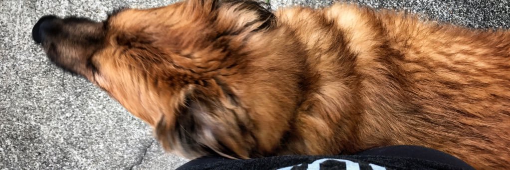 Samantha McCain Alexander, APR banner