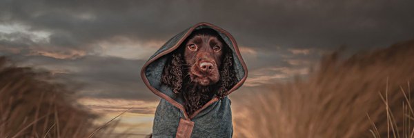 dhkeith Profile Banner