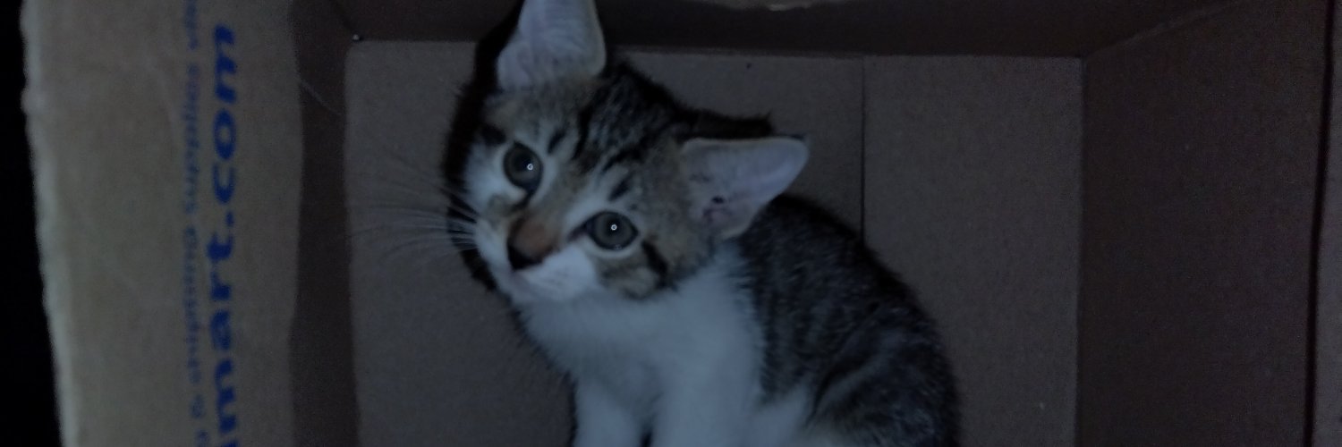 digitalhadoken banner