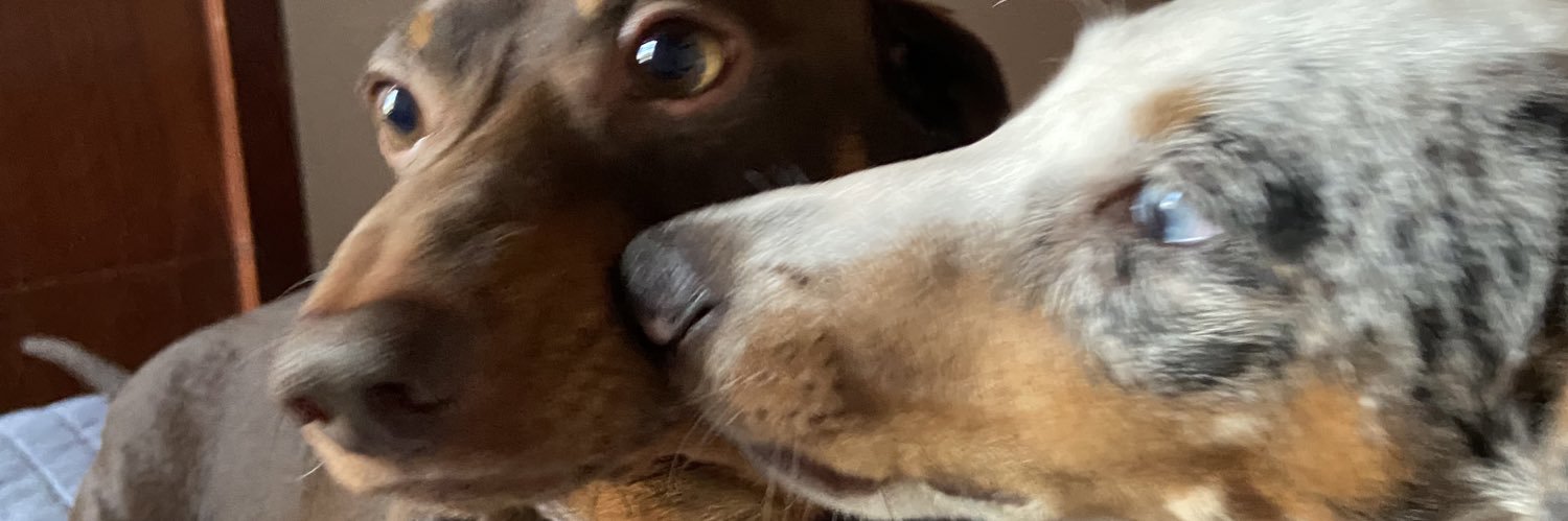 Gastiduarte's profile banner image