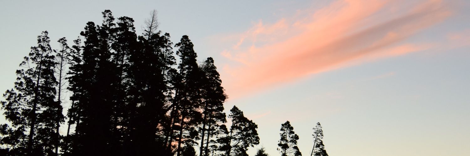 MaariBozza's profile banner image
