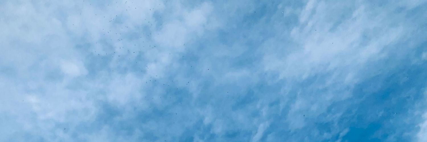 den | ia banner
