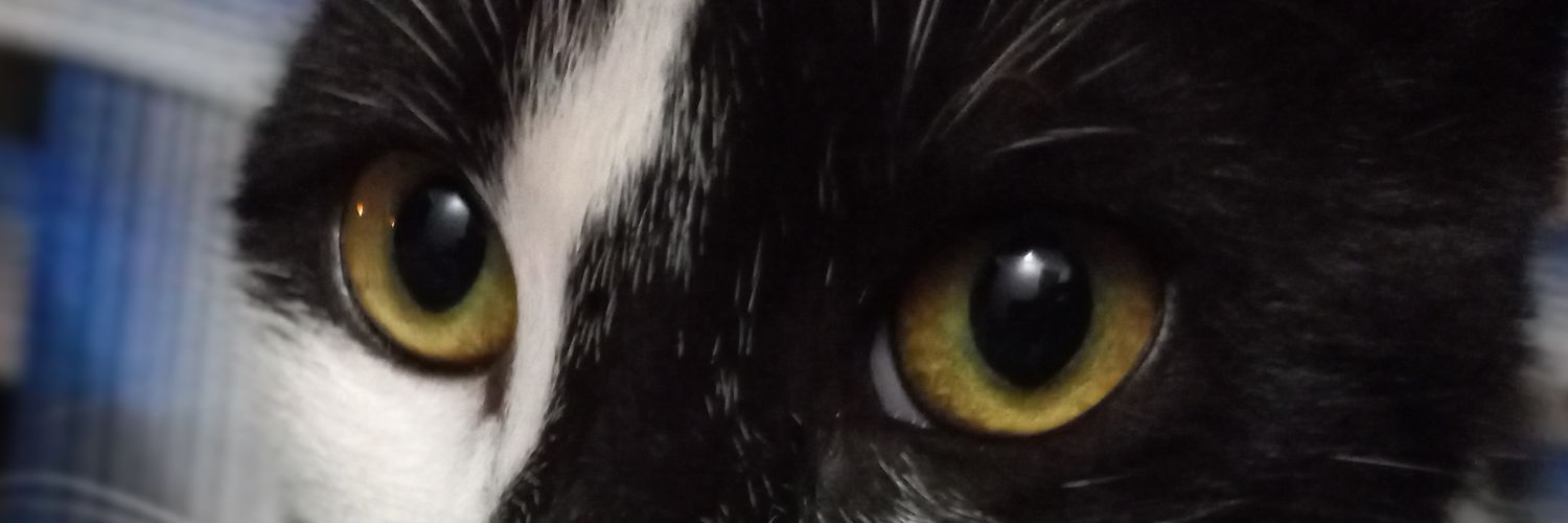 LRedigonda's profile banner image