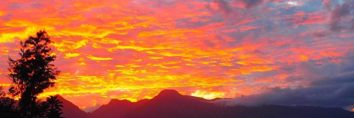 TXYankee's profile banner image