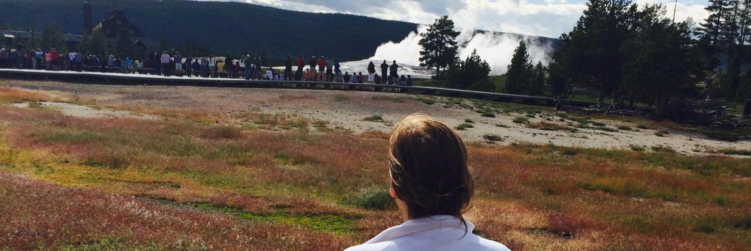 Lauren Brehm-Long banner