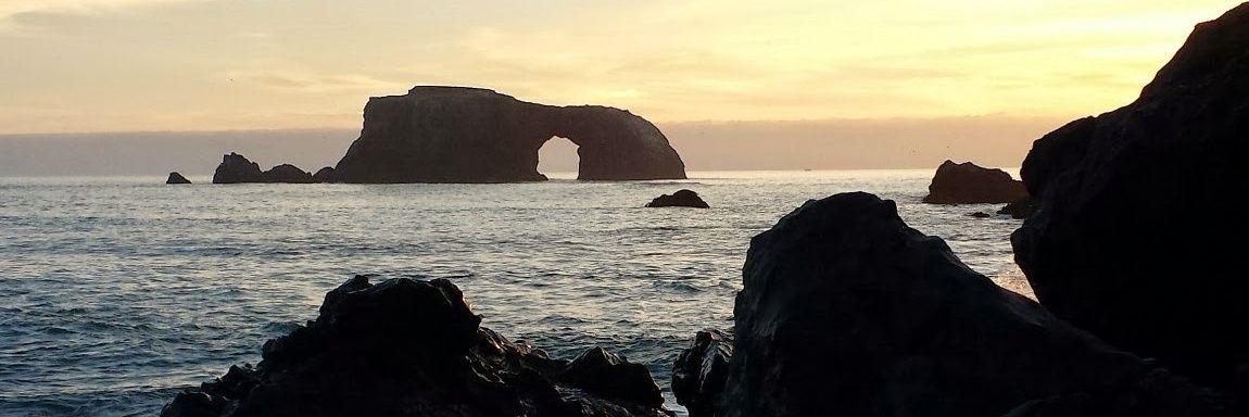 Barbara MacFarlane banner