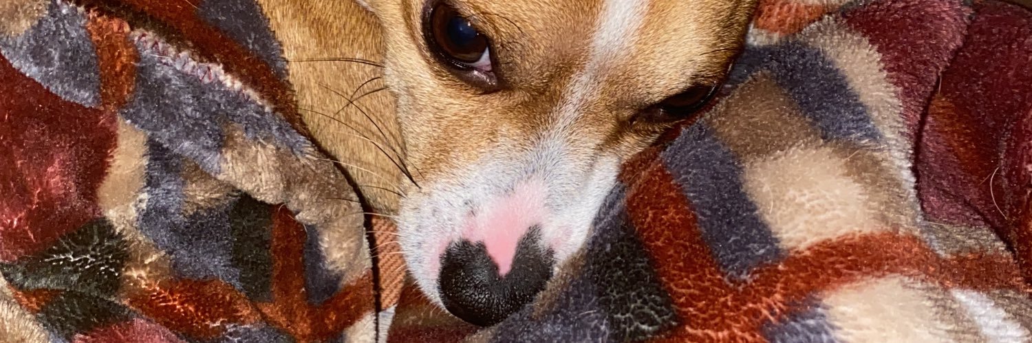 Christian Flores Gonzalez banner