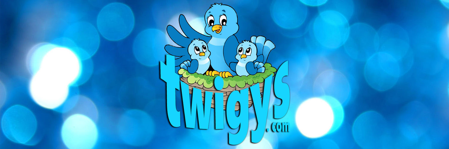 Twigys_'s profile banner image
