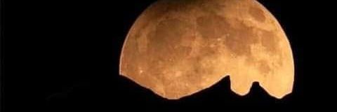 Limer001's profile banner image
