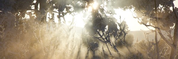 YukonEvents Profile Banner