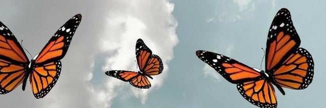 creole_diva23's profile banner image