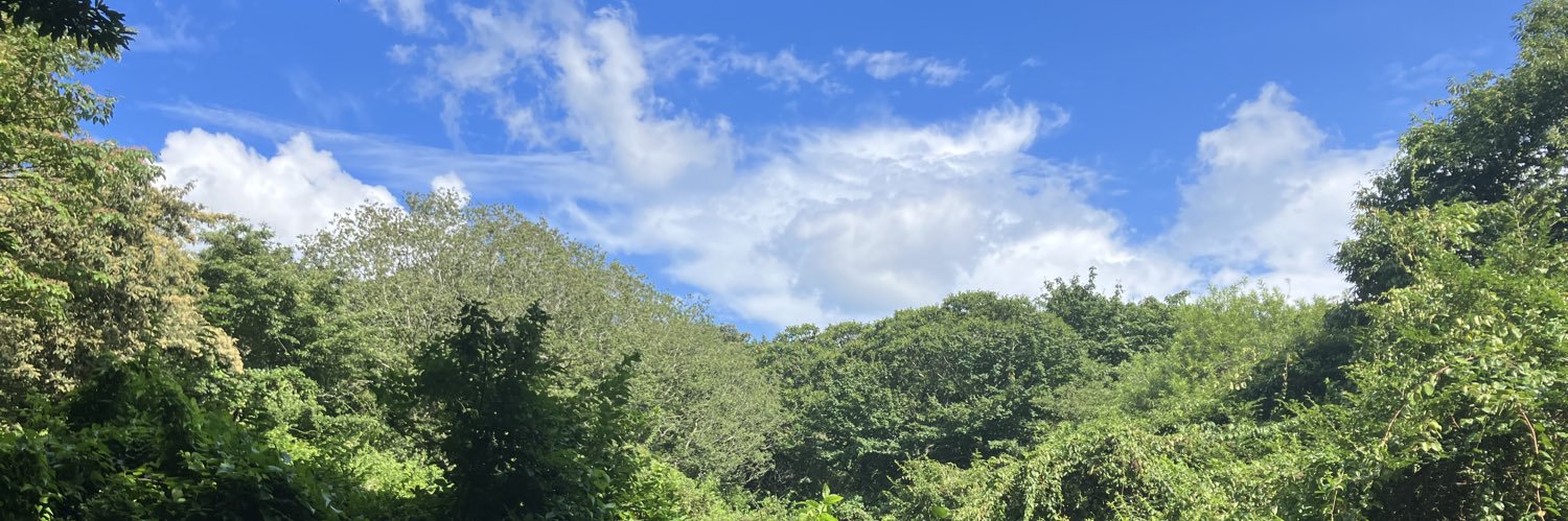 魔露がざら banner