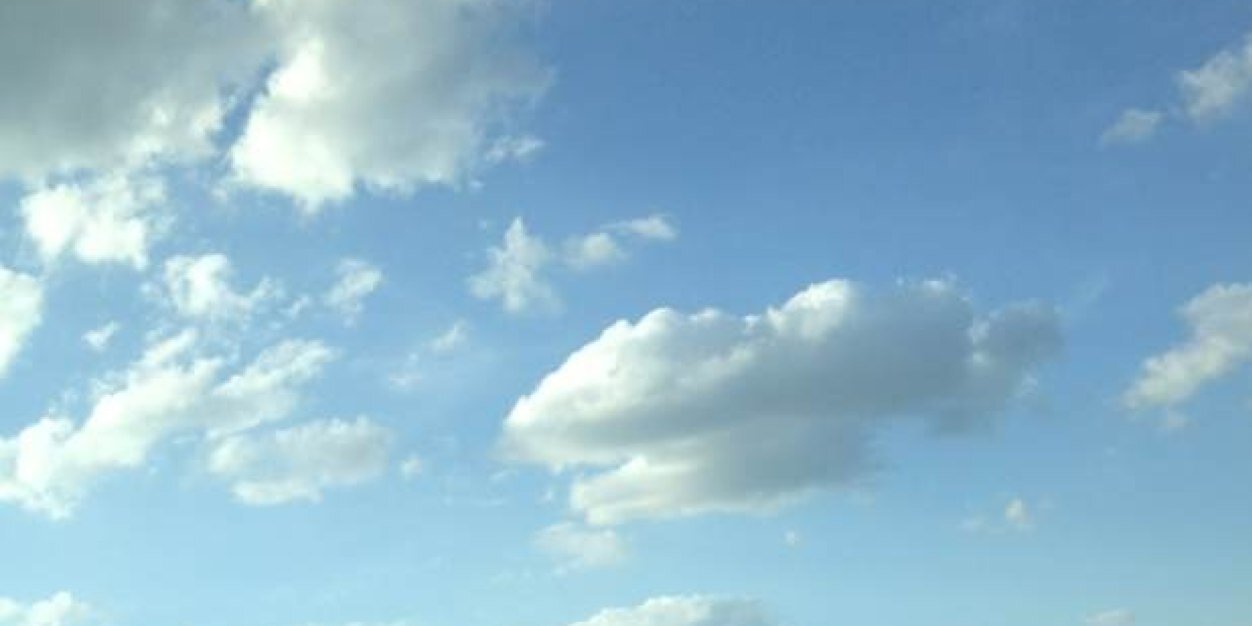 Mackenzie Blackman banner