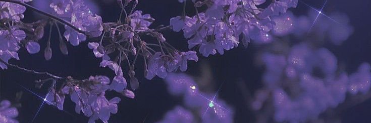 San's banner