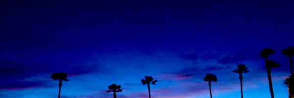 twostepprocess Profile Banner