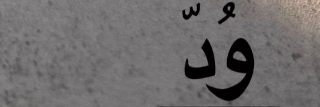سین مثل 💚سُلاله سادات💚's banner