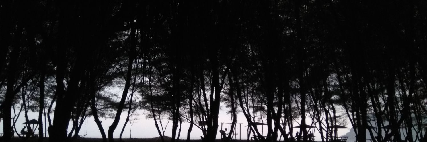paijo_ori's profile banner image