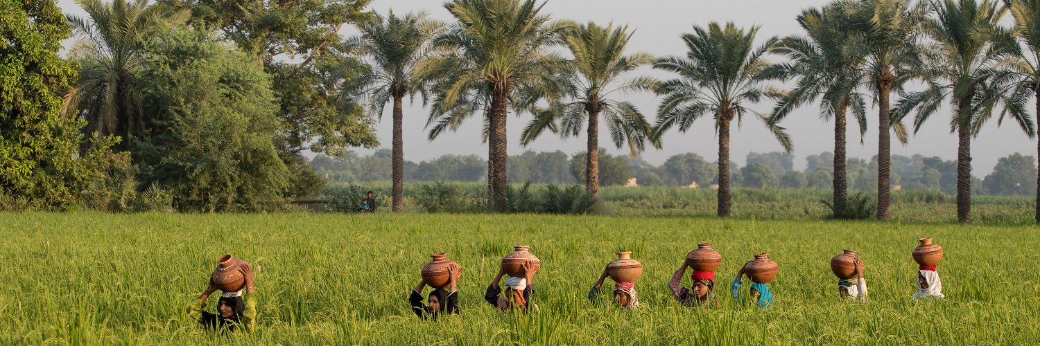 silkroad_centre's profile banner image