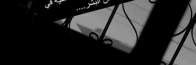 fes_sel's profile banner image