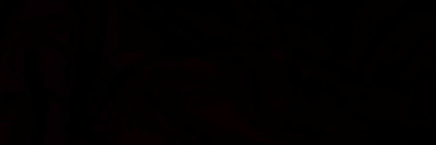 max humber banner