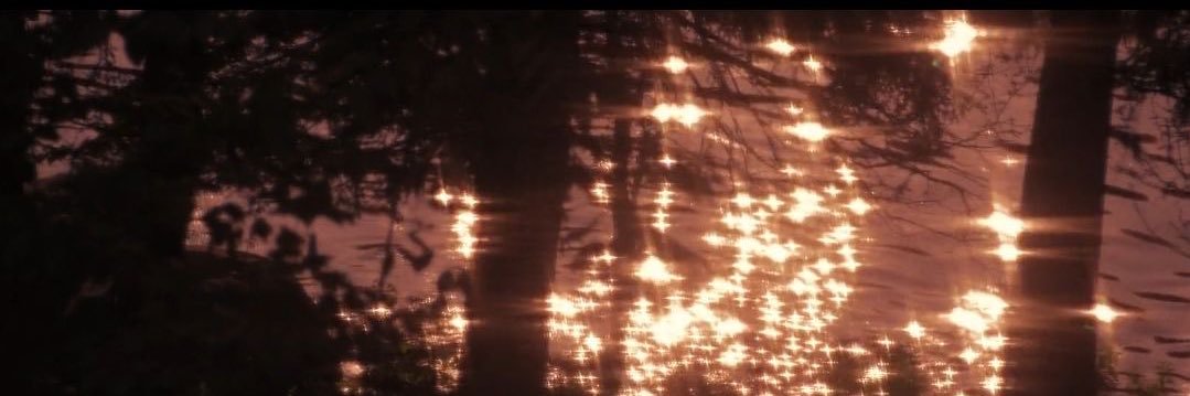 silverswarm_'s profile banner image