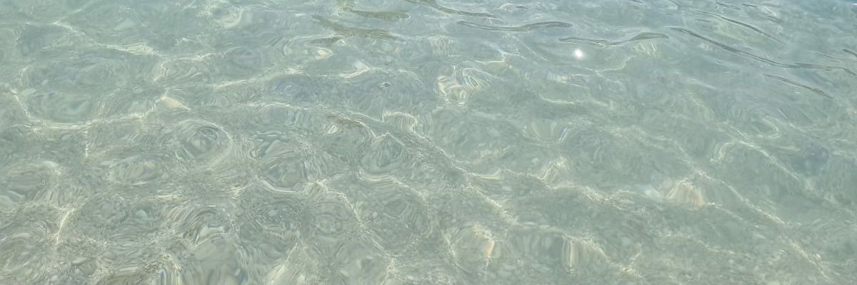 UltraLion1071's profile banner image