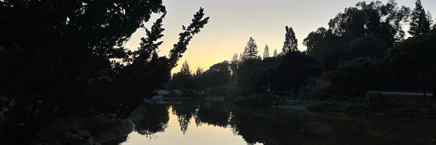 Imran Thobani banner