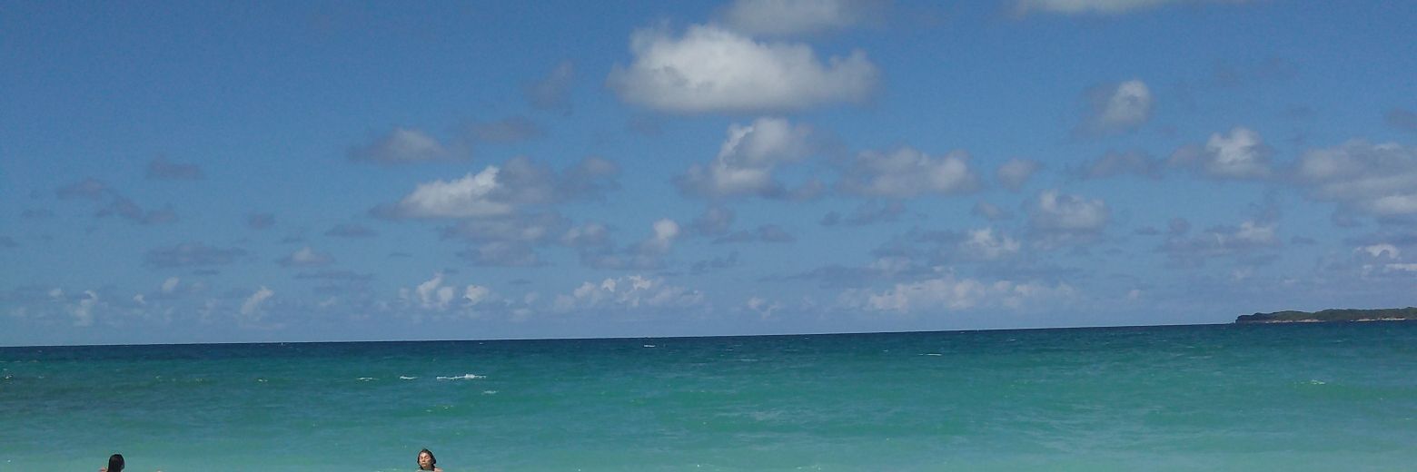 Paulabvargas's profile banner image