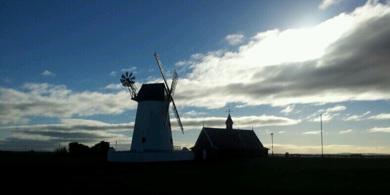 lythaminbloom's profile banner image