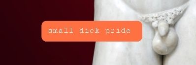 pp.aficionado banner