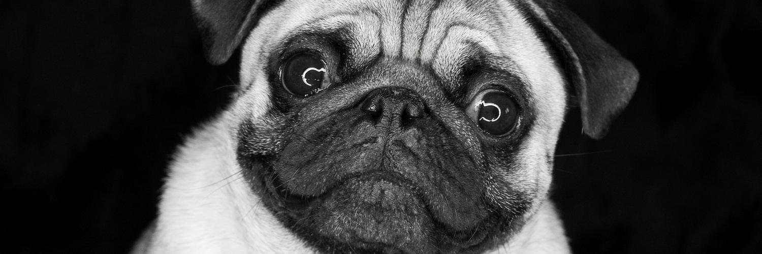 _Megorap_'s profile banner image