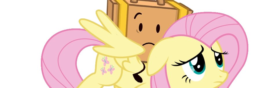 nev ☀️🌧️(#1 suitcase fan)'s banner