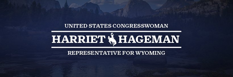 Rep. Harriet Hageman's banner
