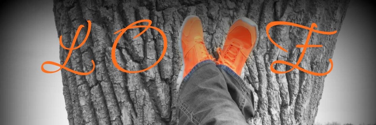 orangeberi's profile banner image