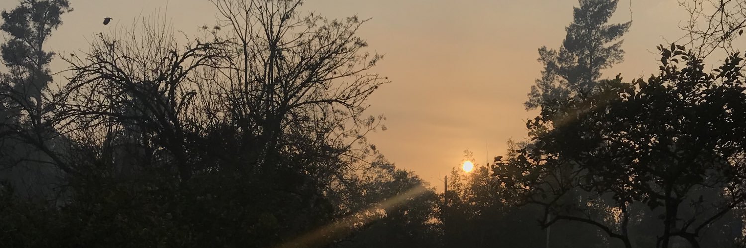 Juampidamico's profile banner image