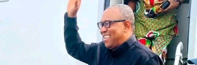 Adaeze Princess Amaka banner