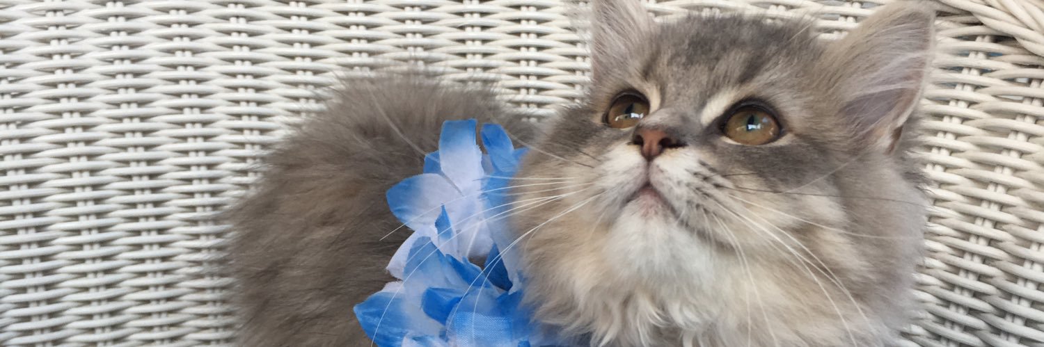 Dila Atar Demirlenk, MD banner