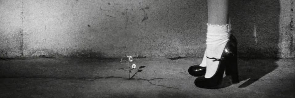 lavdreamin's profile banner image