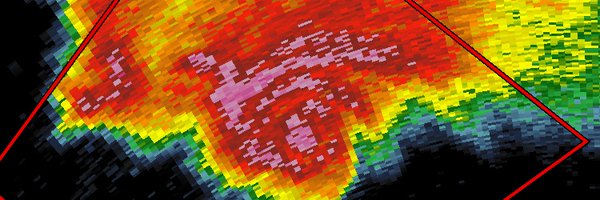 SwampyWampy Profile Banner