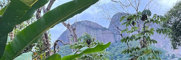 athlete_gorilla Profile Banner