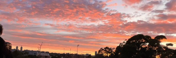 dadd_chloe Profile Banner