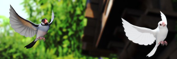 ff_kotori Profile Banner