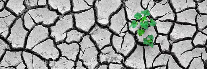 فهد بن سعد🇸🇦 banner