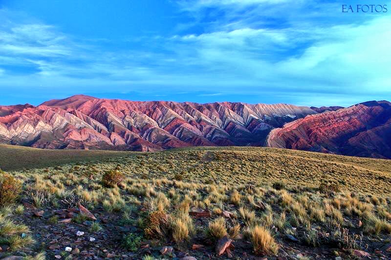 Hector Alex Saka banner