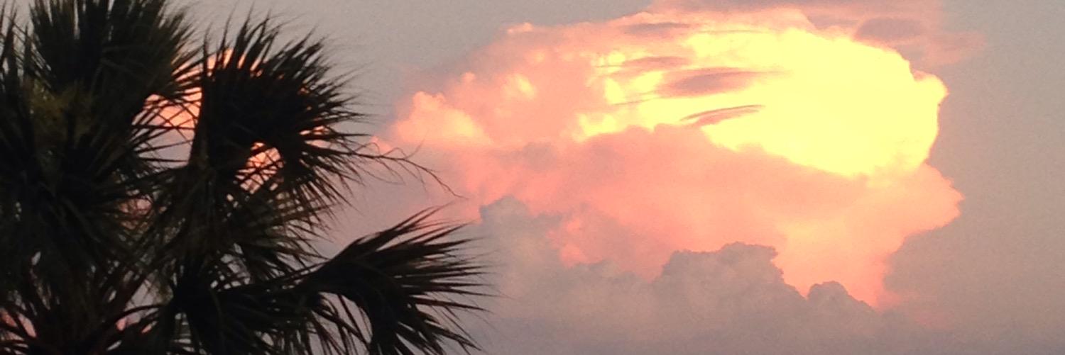 UwantdaZ's profile banner image