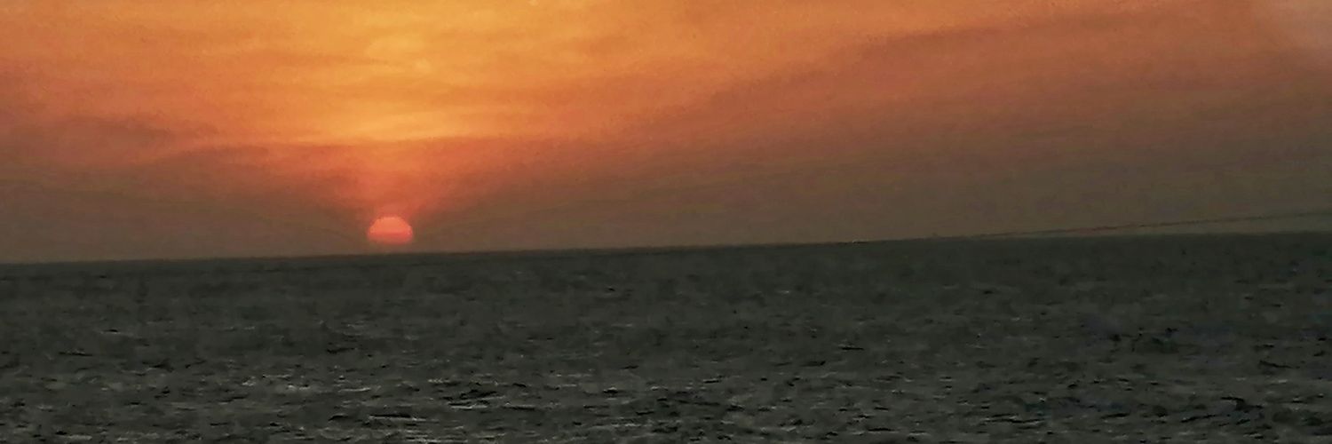 linpalacio's profile banner image