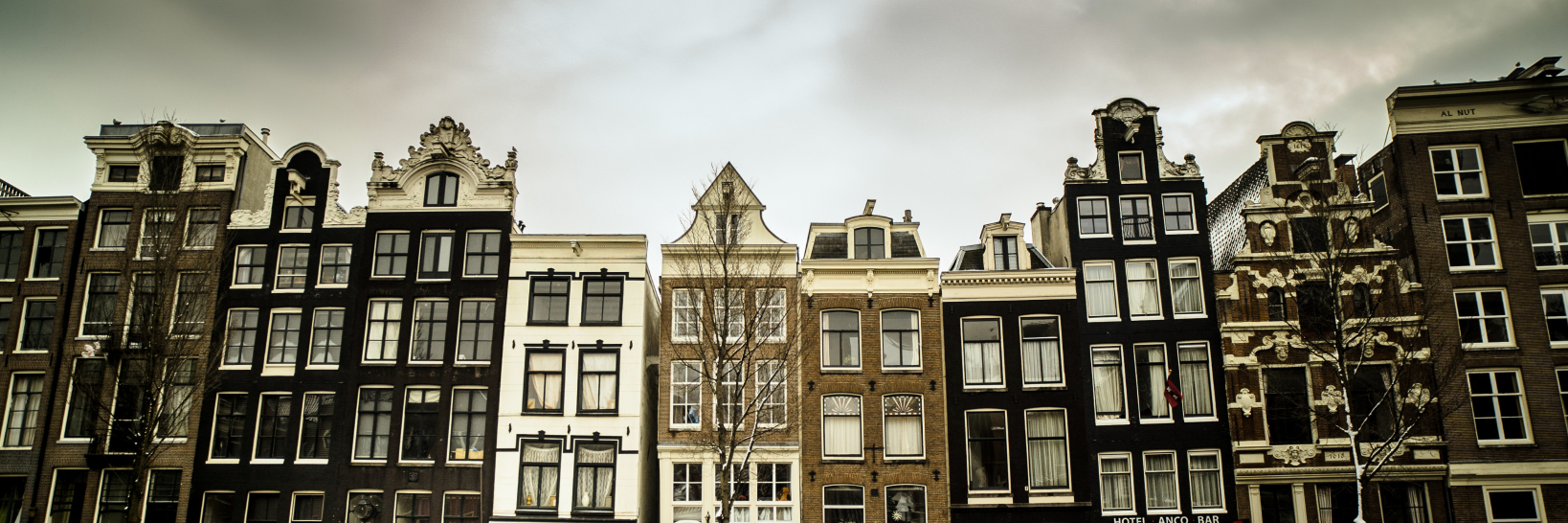 RyanPolicky's profile banner image