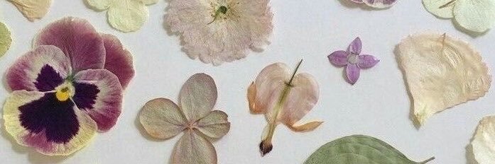 lnwLeah's profile banner image