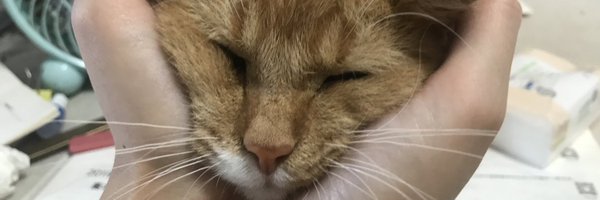 mmmmmzai Profile Banner
